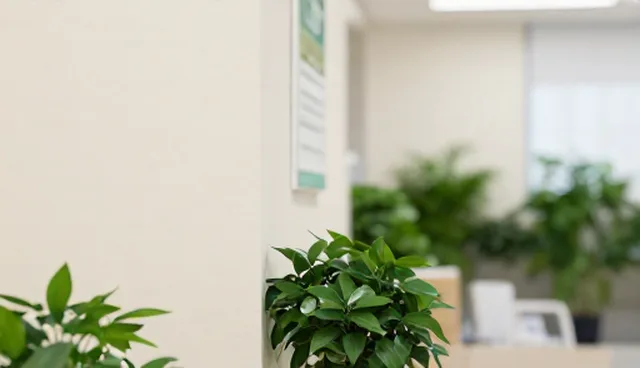 慢病随访中的性能评估：数据采集与分析环节实践
